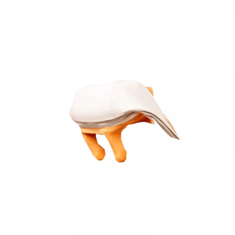 贈(zèng)品：志高頸椎按摩器